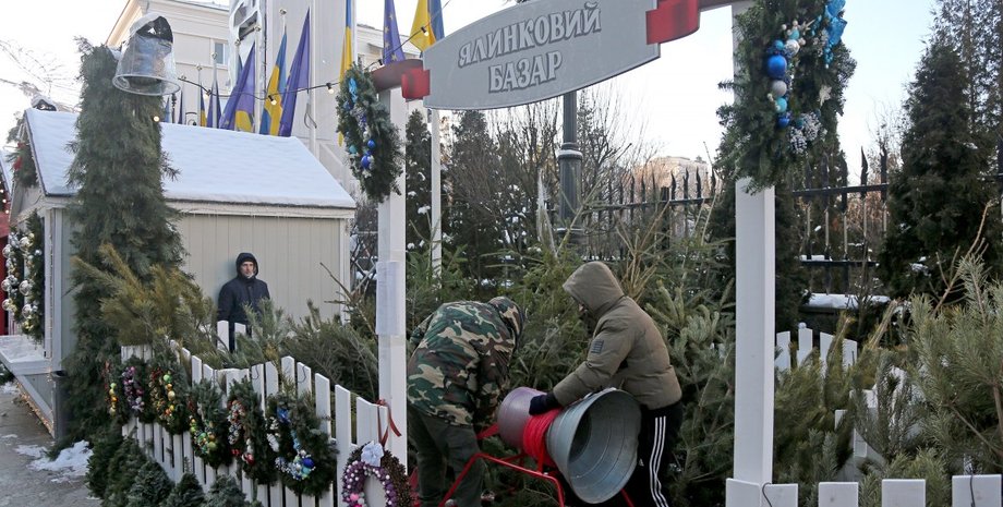 Елочный базар, киев, елка. новогодняя елка.