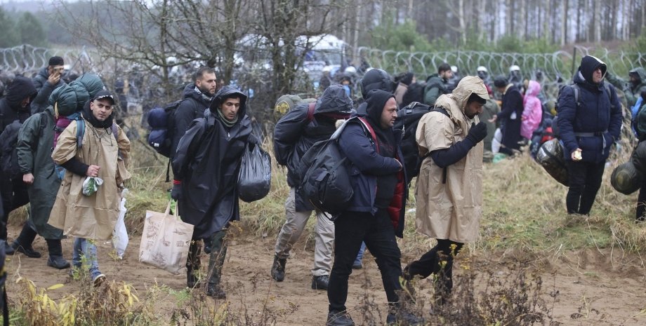 Мигранты, Польша, Беларусь, граница