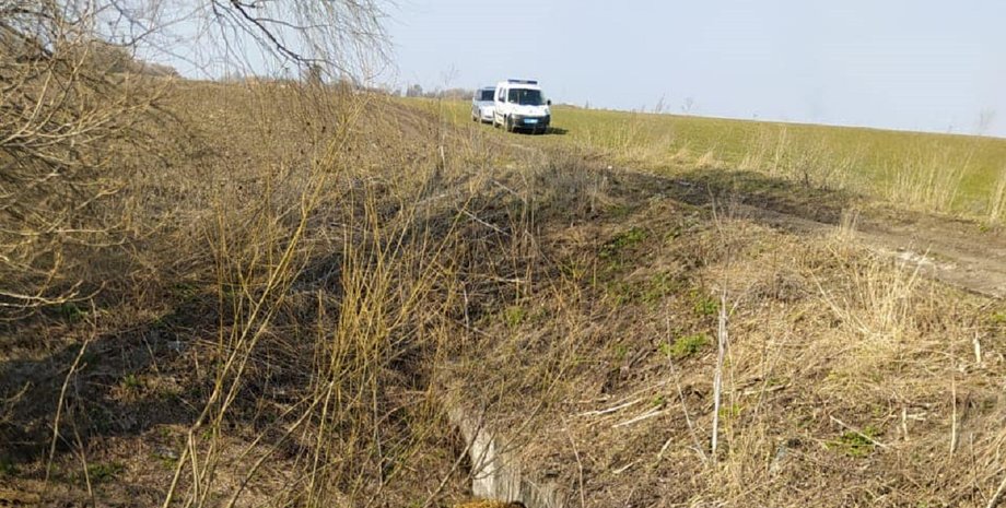 Киев, Киевская область, прокуратура, Александр Мандич