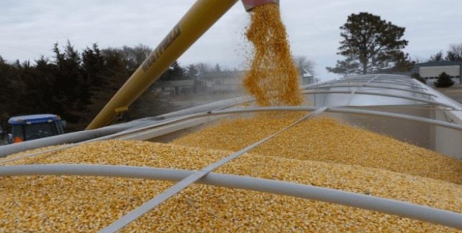 зерно, експорт зерна, Польща, Україна, ембарго на агропродукцію