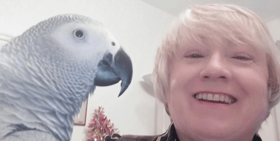 Ні вейпів, ні фільтрів: папуга відмовляє курців подолати погану звичку за допомогою лайки