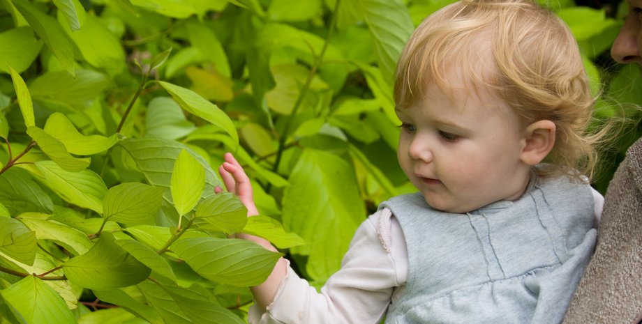 Донька повернулася з прогулянки: вміст її кишень перелякав маму дитини