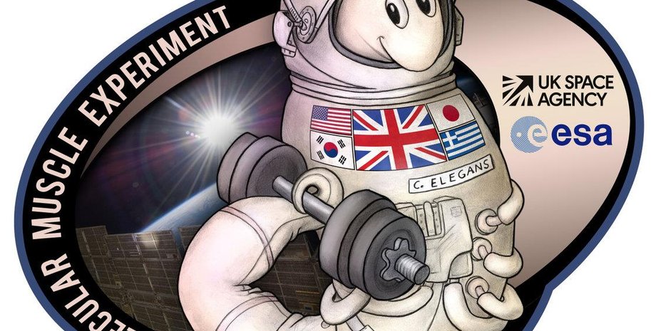 Beata Edyta Mierzwa, BeataScienceArt.com