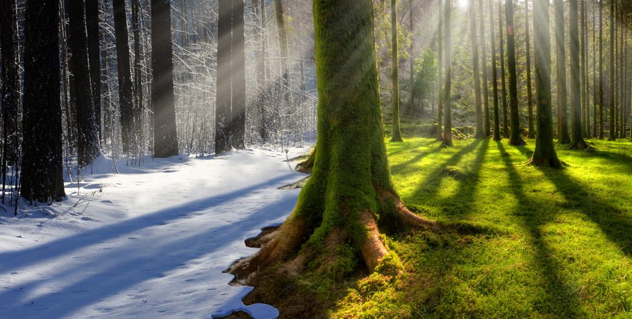 Из открытых источников