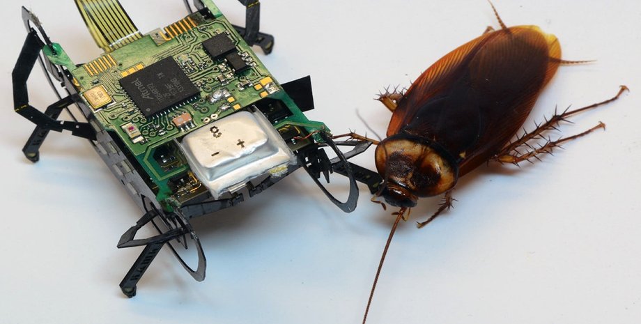 Фото: digitaltrends.com