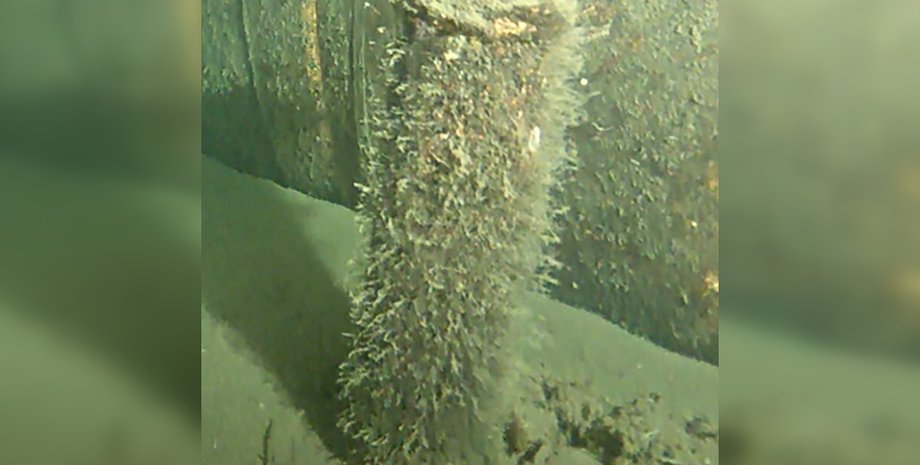 Димовий буй