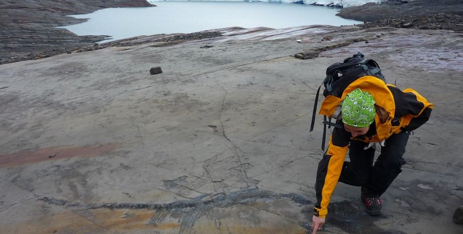 скам'янілість, іхтіозавр, вчений, фото