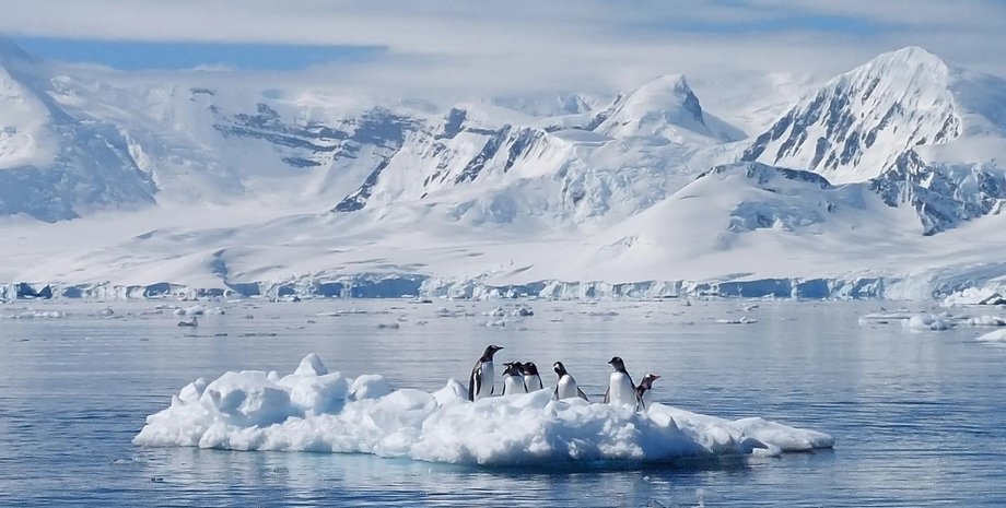 антарктида ледники антарктиды