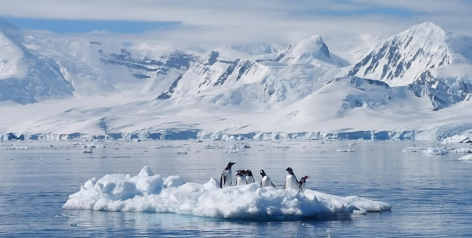 лід в антарктиді Глобальне потепління — всього лише обман: на це вказує шокуюче відкриття в Антарктиді0