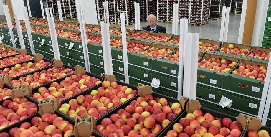 россия, азербайджан, яблоки, томаты, импорт