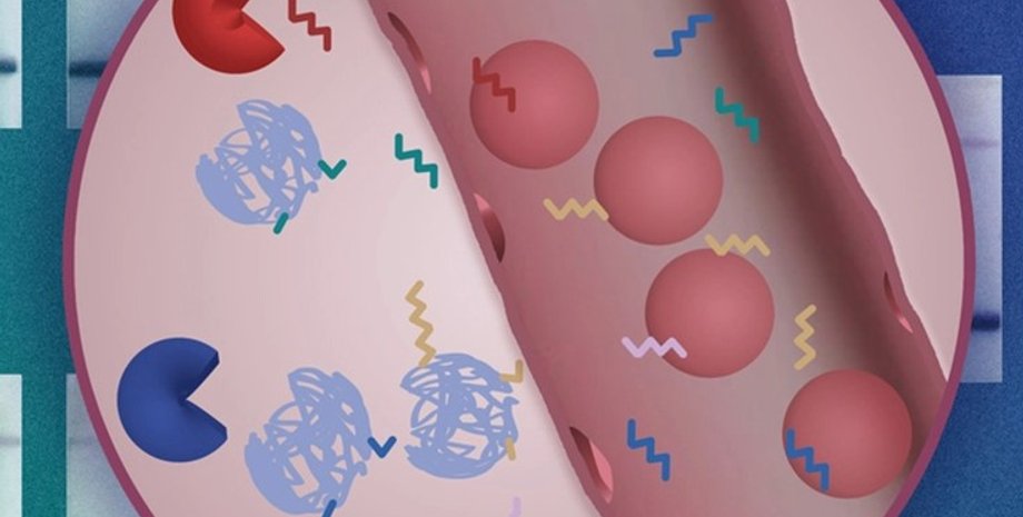 рак, тестирование рака, домашний тест на рак