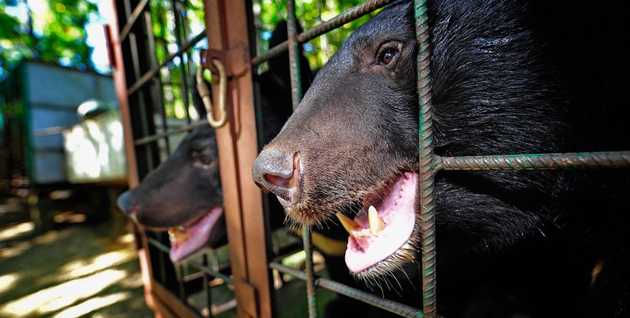 Фото: НТВ.ру