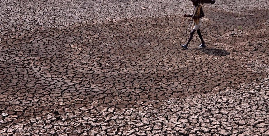 Жара в Индии / Фото: Alriyadh.com