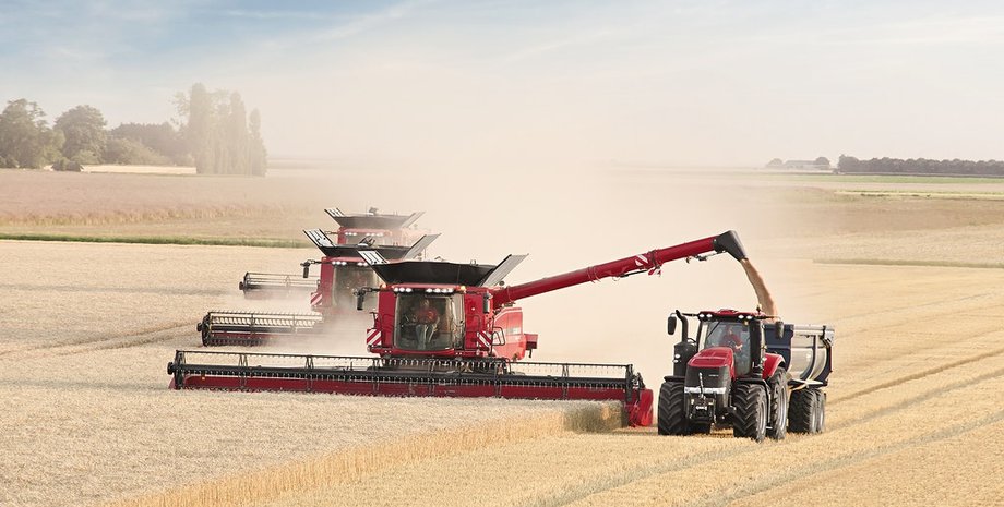 зерно, урожай, сбор, фото