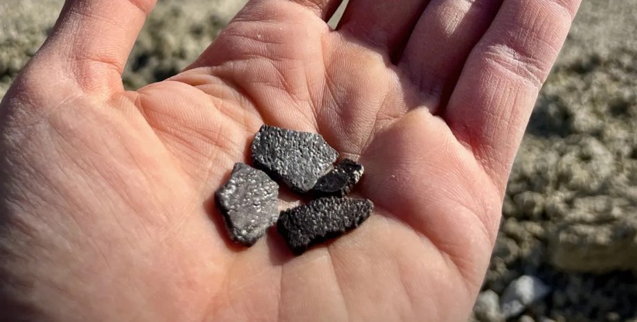 шкаралупа, яйця динозаврів