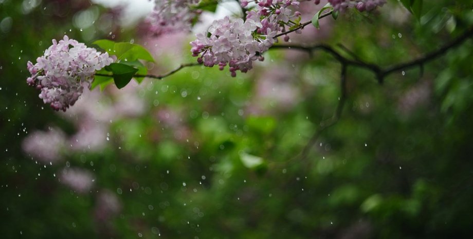 Україну накриє негода