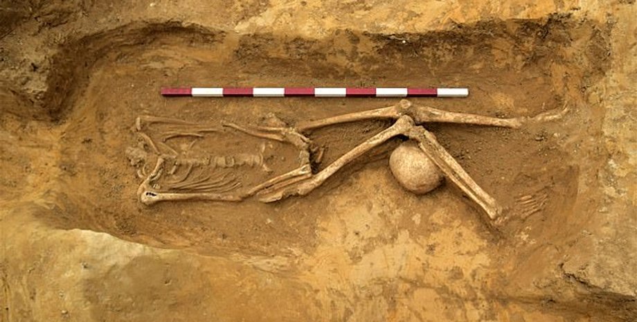 Фото: Archaeological Solutions