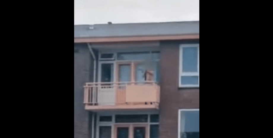 вбивця в Нідерландах