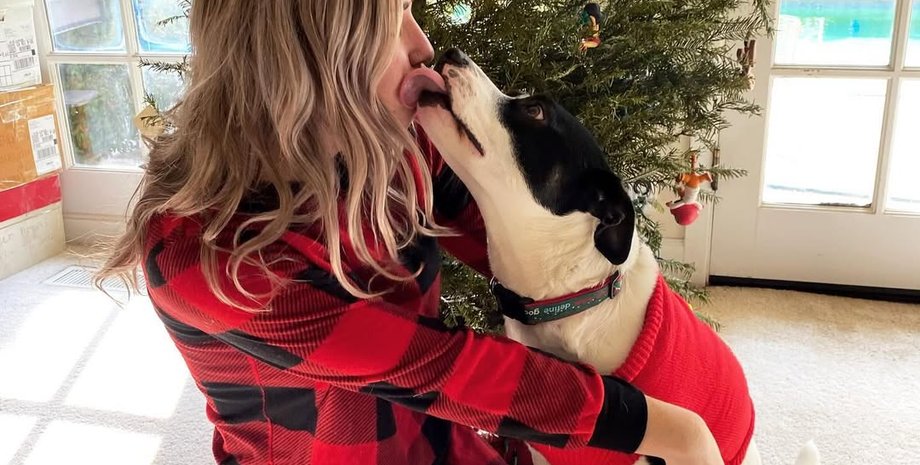 Пес прервал встречу хозяйки в Zoom, животные, домашние любимцы, курьезы, приколы, странные истории, смешные случаи