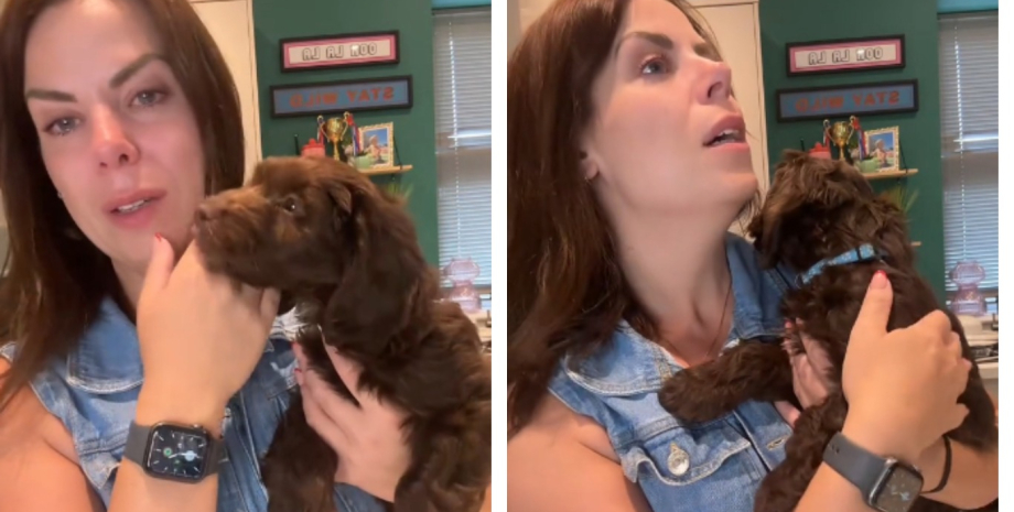 Она объяснила свой непростой поступок пользователям женщина возмутила сеть, вернув щенка через день после покупки