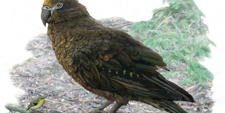 Иллюстрация: PA MEDIA