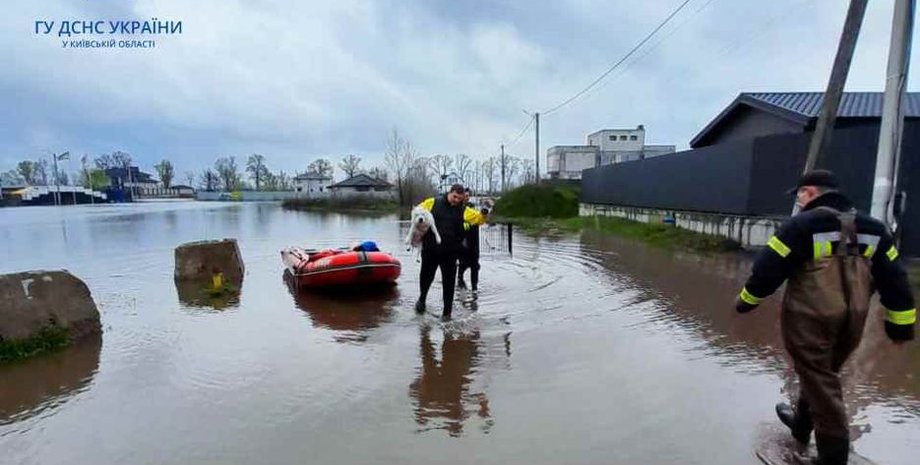 затопление, киев, киевская область, село, гсчс, река десна, десна, разлив реки, потоп, спасение жителей