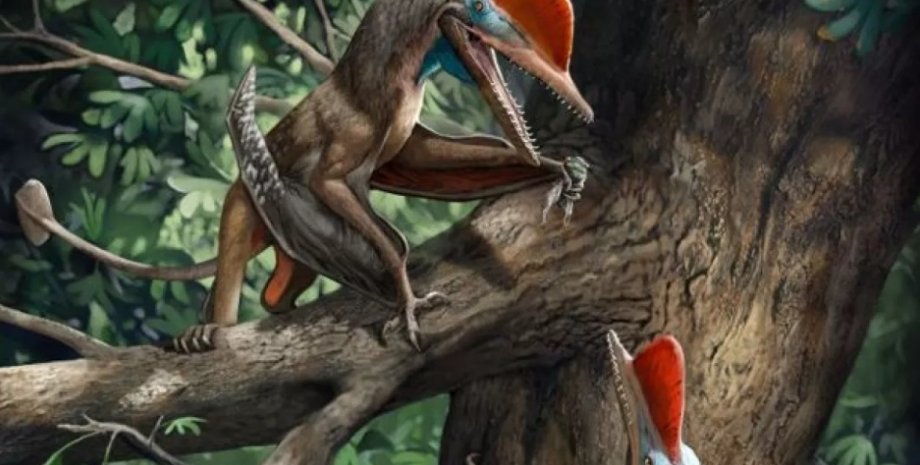 птерозавр, пальці, руки, еволюція, Homo Sapiens