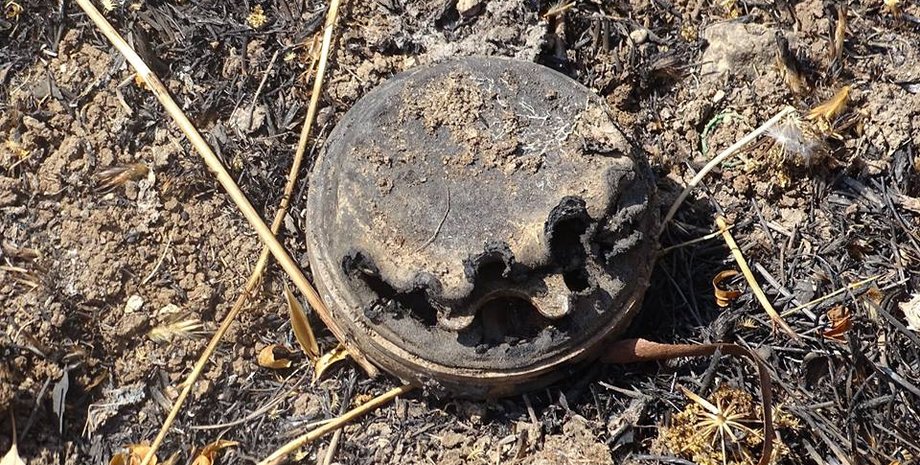 фото: LiveJournal