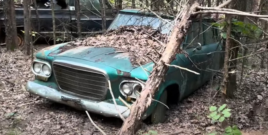 Studebaker Lark, ретро авто, кладовище авто, звалище авто