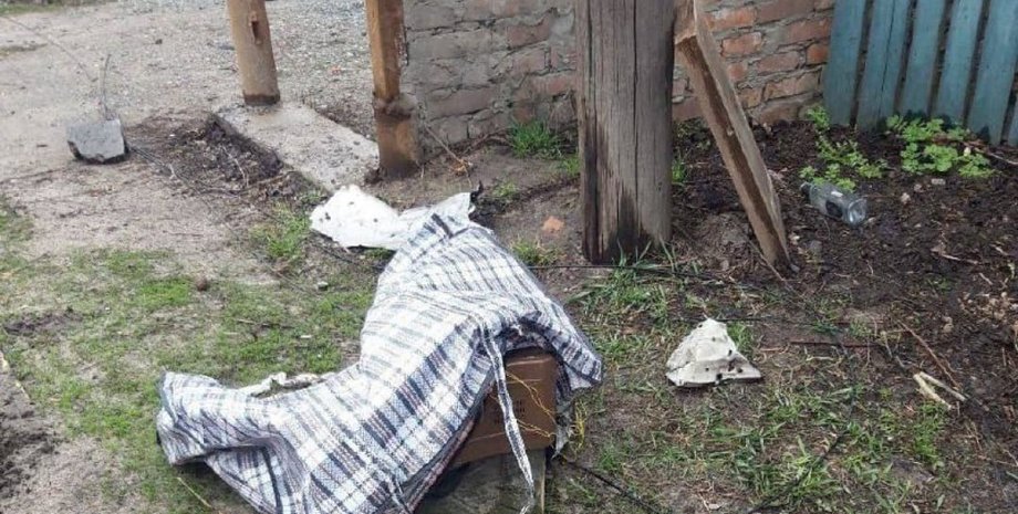 мины, минные ловушки, запрещенные боеприпасы, Людмила Денисова