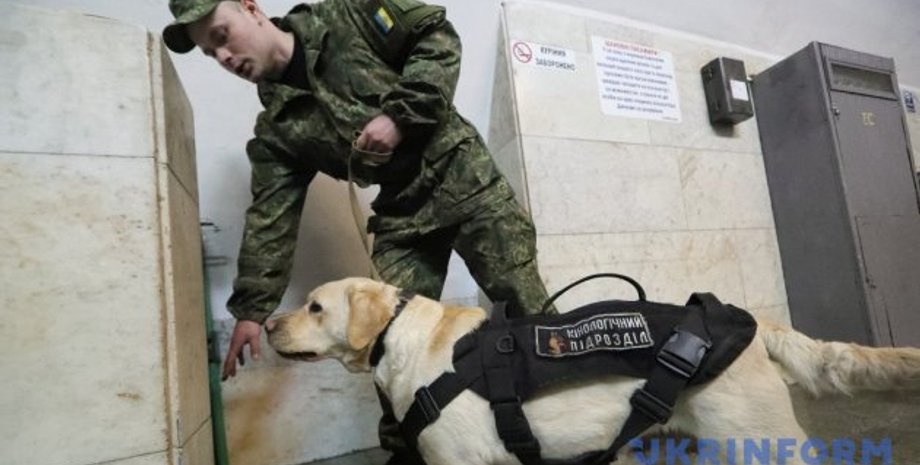 Фото: Укринформ