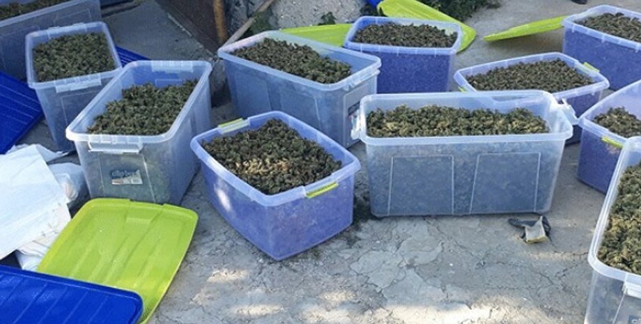 Фото: Нацполиция