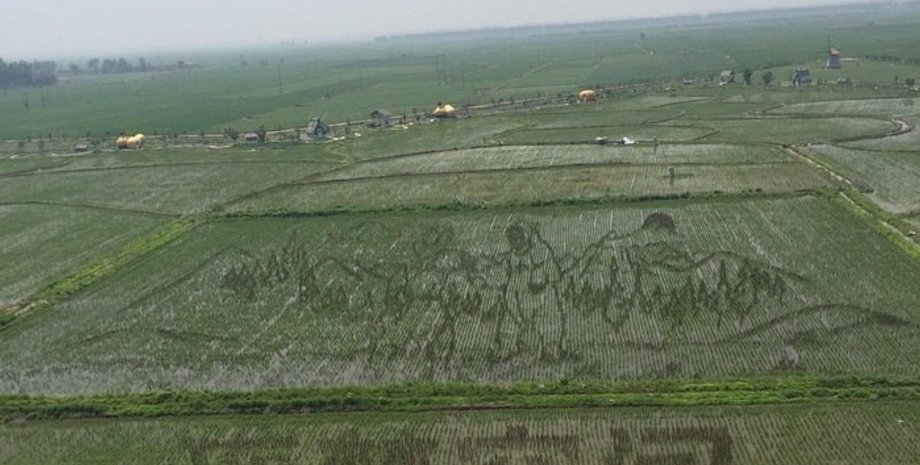 Рисунки на полях / Фото: Buzzfeed