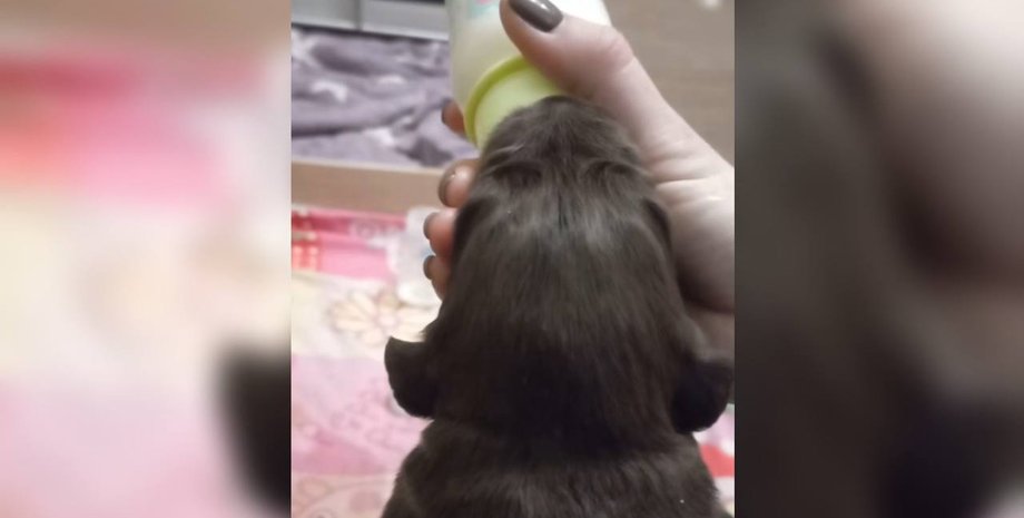 Харків, ракетний удар, масована атака, обстріл, війна РФ проти України