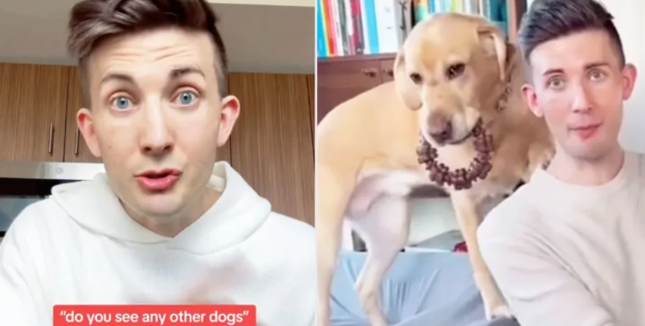 Скандал в ресторане, собака-поводырь, проблемы со зрением, слепые люди, США, видео, тренды TikTok