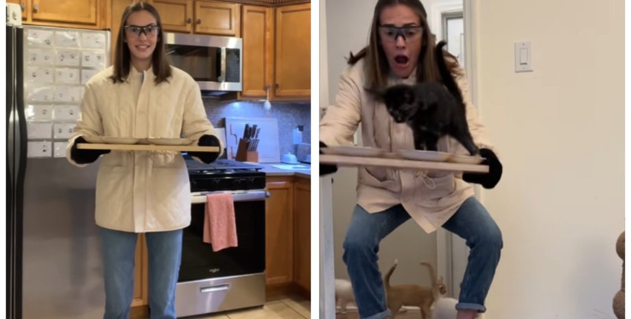 Женщина пыталась накормить неугомонных котят, но все пошло не по плану