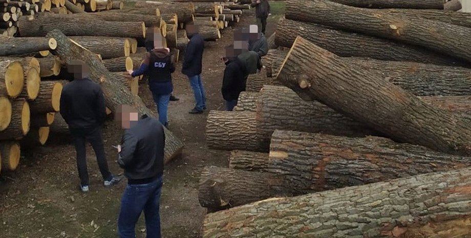 СБУ, лес, древесина,
