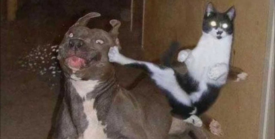 Скриншот с Youtube