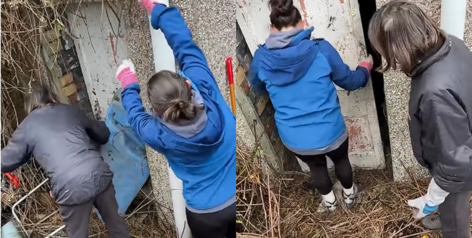 Жінка купила дім і натрапила в саду на загадкові двері: за ними була дивна знахідка