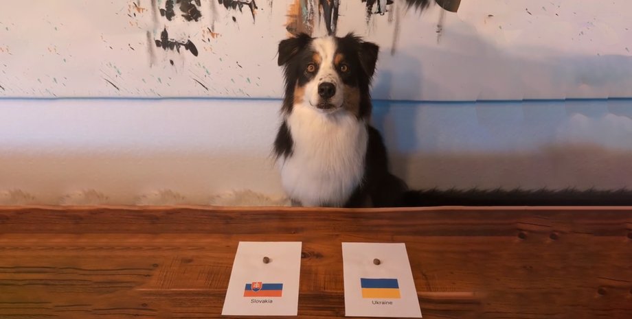 евро-2024, украина-словакия, чемпионат по футболу