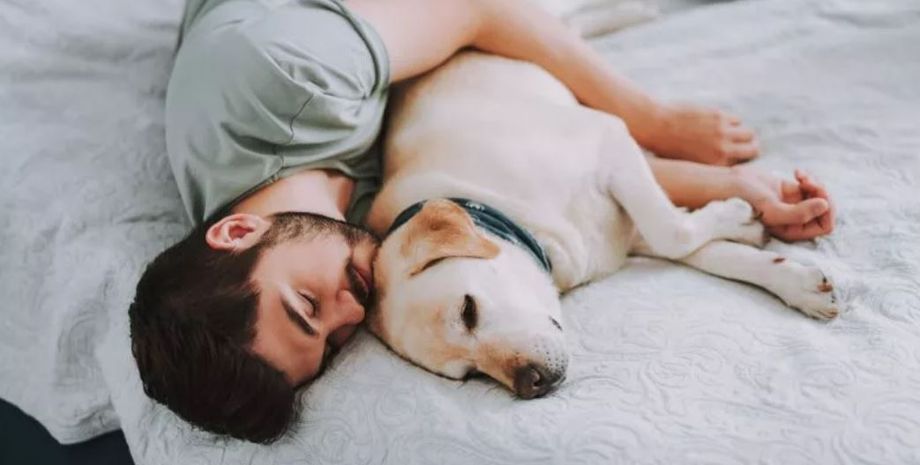 Чоловік проявляє до собаки набагато більше ніжності, ніж до дружини та дітей, курйозне відео, приколи, гумор