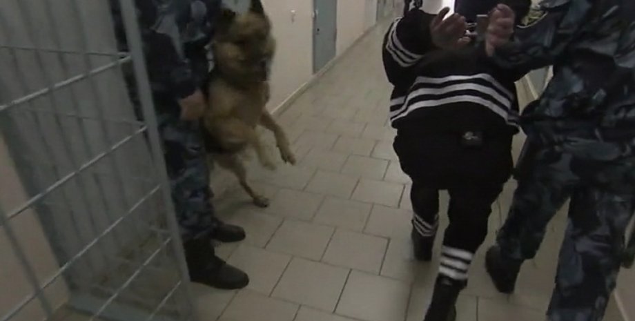 Фото из открытых источников