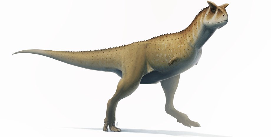 динозавр, крихітні руки, малюнок