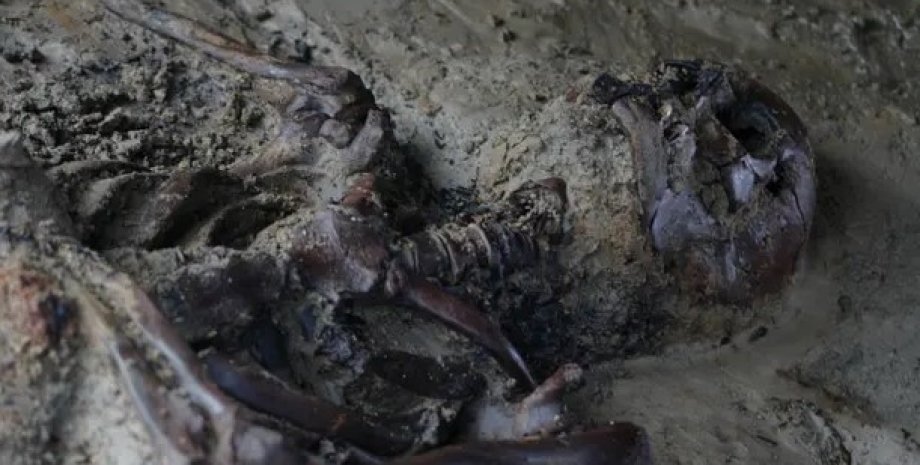 Скелет, Геркуланум