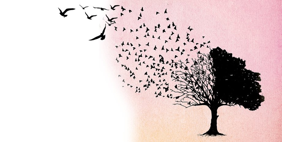 Фото: Getty Images, УНИАН