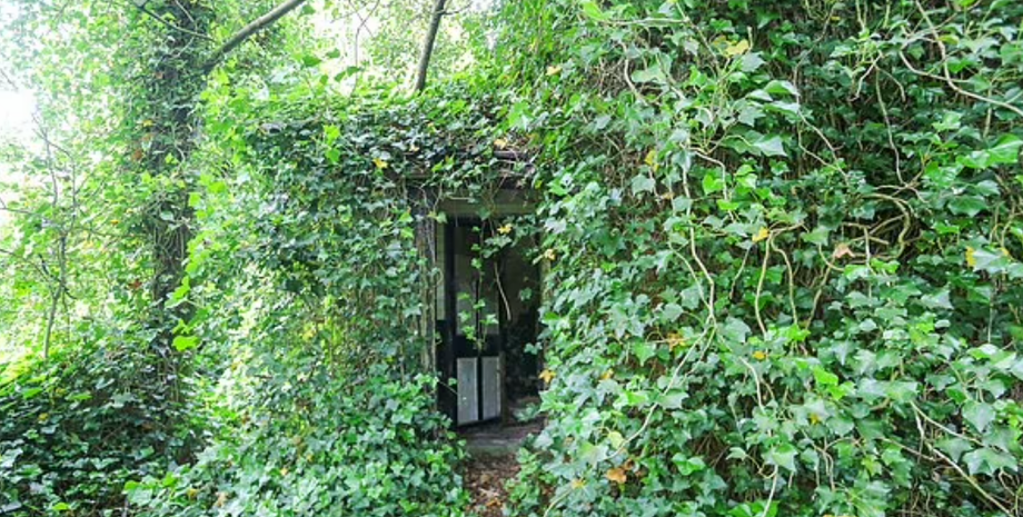 Покинутий будинок, купити нерухомість, фото, аукціони, ремонт, продаж житла, Велика Британія, капсула часу