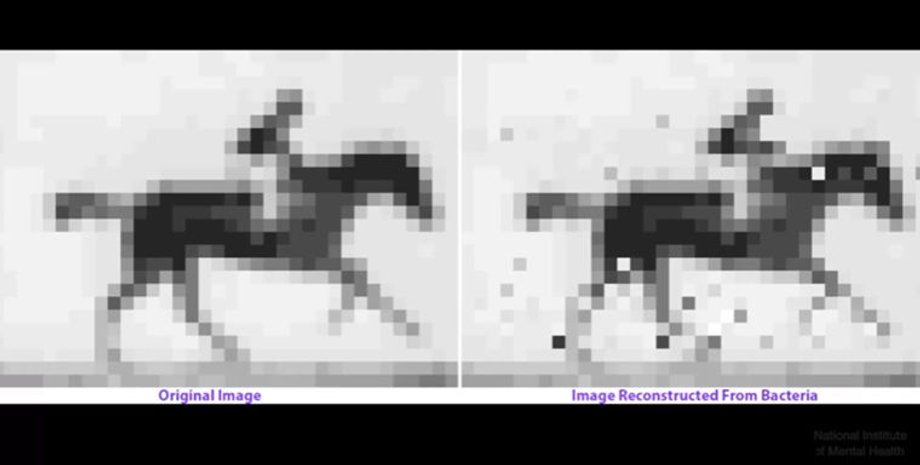 Скриншот видео