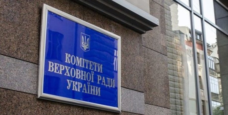 Юлия Гришина, законопроект о моббинге, ответственность за мобинг