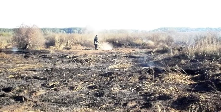 Тушение горящего торфа / Фото: ГСЧС