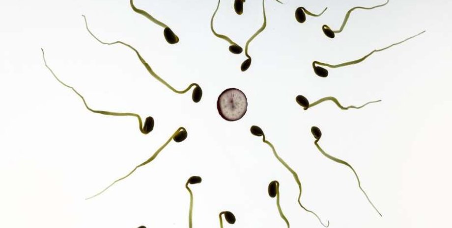 Фото: CC0 Public Domain